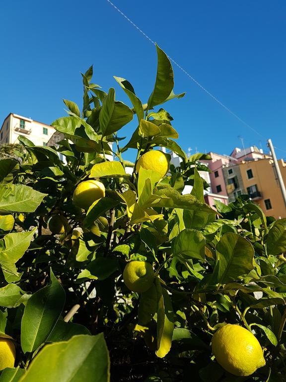 Affittacamere Il Timone Corniglia Exterior foto